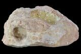 Fluorescent Calcite Geode In Sandstone - Morocco #89695-4